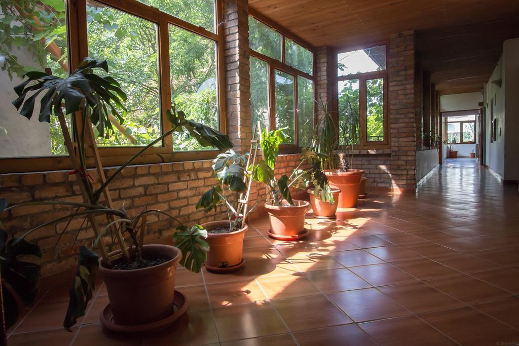 Hotel Albatros à Calarasi  Extérieur photo